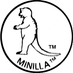File:Monster Icons - Minilla.png