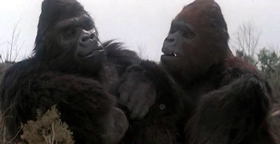 File:Kong and Lady Kong.jpg
