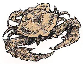Unclean-crab.png