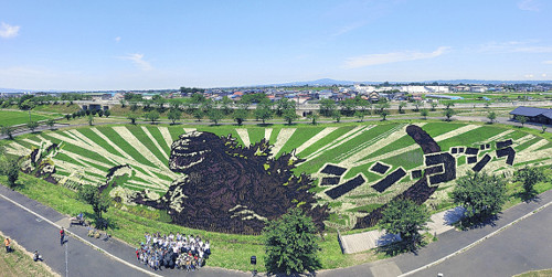 File:Shin Godzilla rice field.jpeg