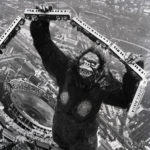 File:Godzilla.jp - 3 - ShodaiKong King Kong 1962.jpg