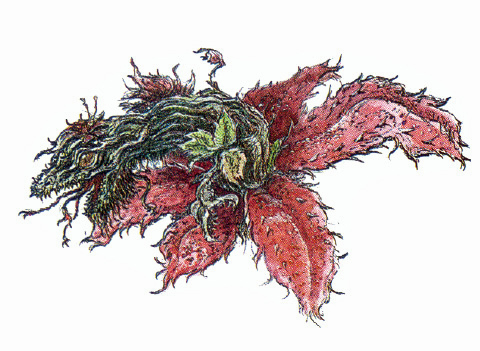 File:Concept Art - Godzilla vs. Biollante - Biollante Rose 15.png
