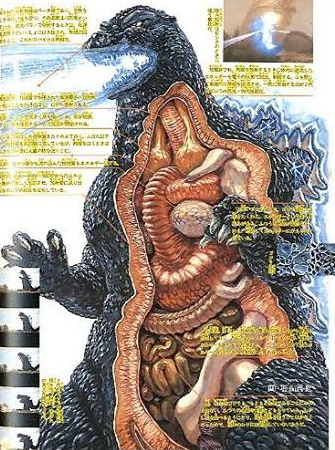 File:Anatomy of Godzilla.png