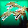 File:Godzilla on Monster Island - King Ghidorah Slot.jpg