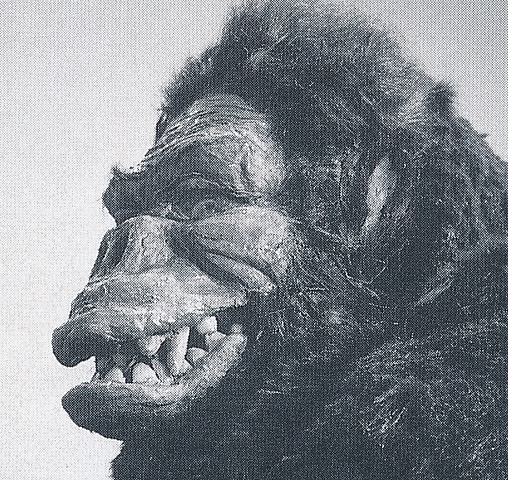 File:Kong face 02.jpeg