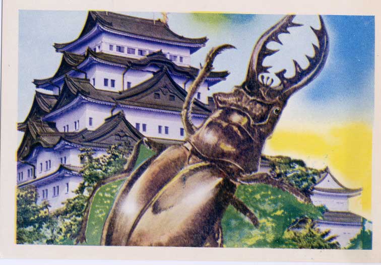 File:Latter-Era-Pachimon-Giant-Stag-Beetle-May-2021-01.jpg