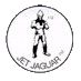 File:Monster Icons - Jet Jaguar Unleashed 1.png