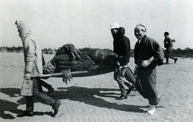 File:Godzilla -MosuGoji- Passes Out.jpg