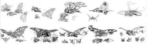 File:Concept Art - Rebirth of Mothra 3 - Mothra Leo 1.png