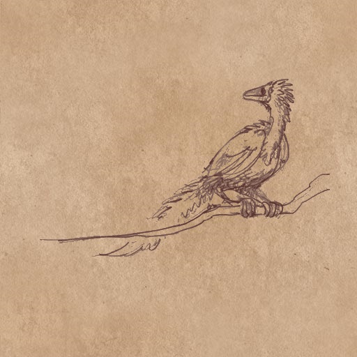 File:Archeopteryx 2.jpg