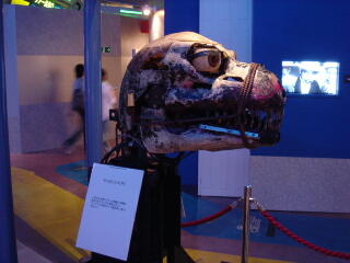 File:Cybot Godzilla Head in 2004.jpg