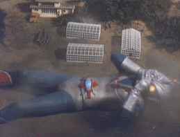 File:ZF - Forcible shrink.gif