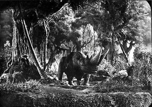 File:Arsinoitherium-King-Kong-Minor-April-2020-01.jpeg