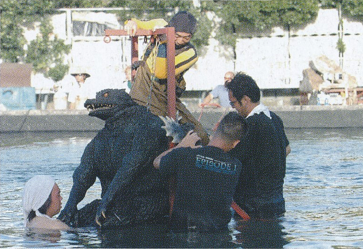 File:GFW - Godzilla no neck.png