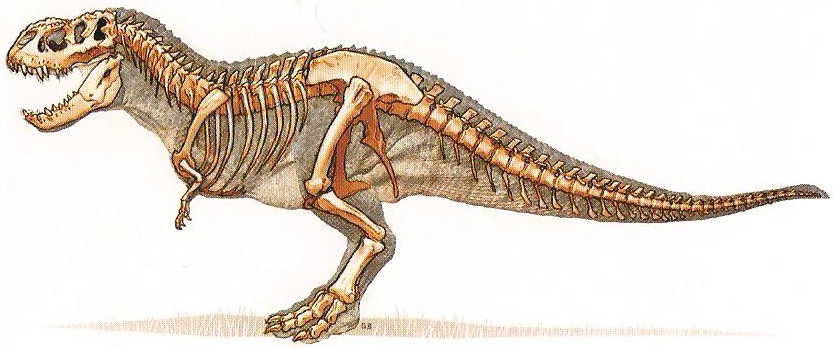 vastatosaurus rex vs godzilla