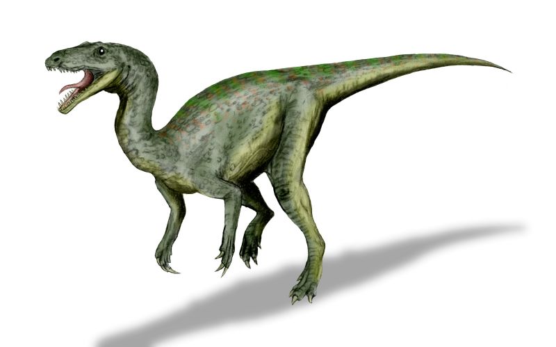 File:Paleo Gojirasaurus.jpg