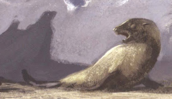 File:Skull Island Fur Seal.png