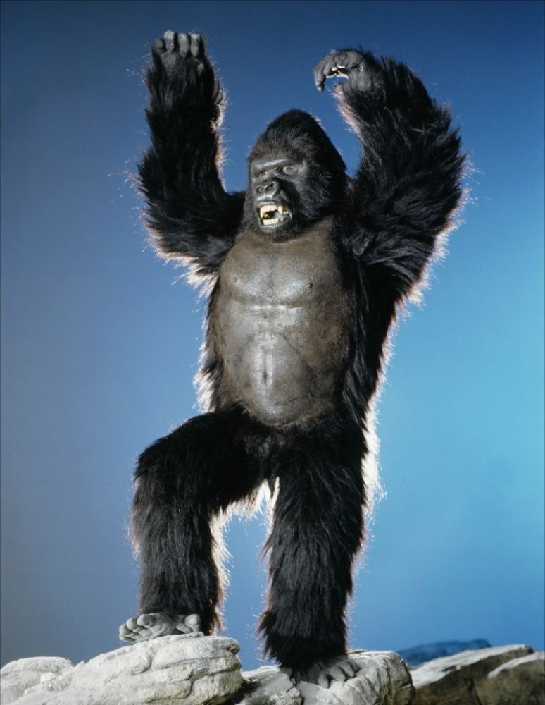 King Kong (De Laurentiis)  Wikizilla, the kaiju encyclopedia