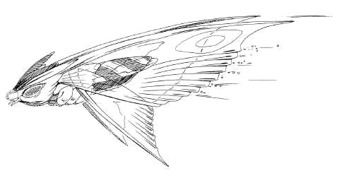 File:Concept Art - Rebirth of Mothra 2 - Aqua Mothra 11.png