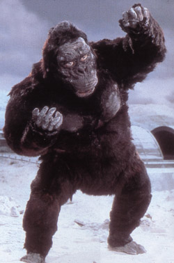 File:King Kong3.jpg