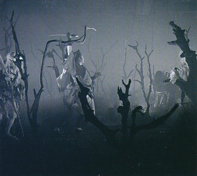 File:YM Along with Ghosts - Forest.png