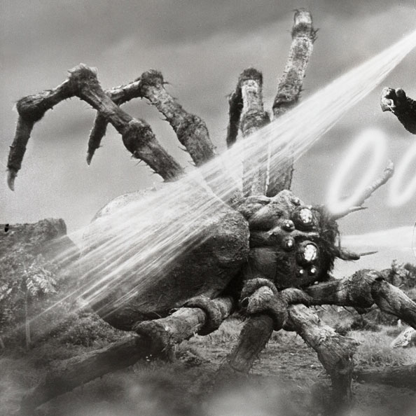 File:Godzilla.jp - 10 - ShodaiKumo Kumonga 1969.jpg
