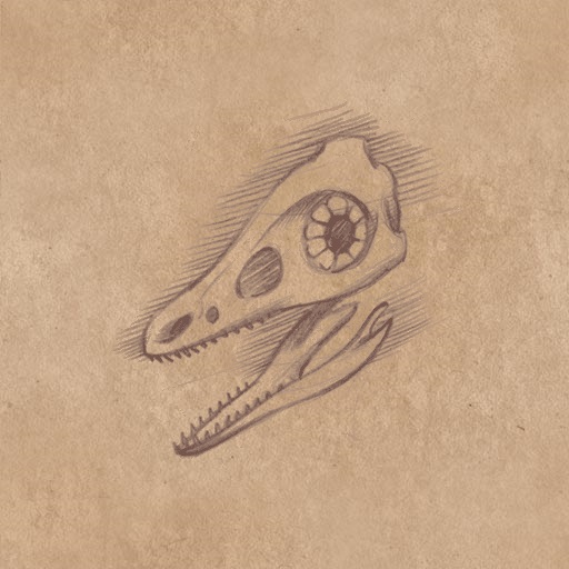 File:Archeopteryx skull.jpg