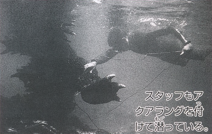 File:EHotD - MosuGoji underwater 2.png