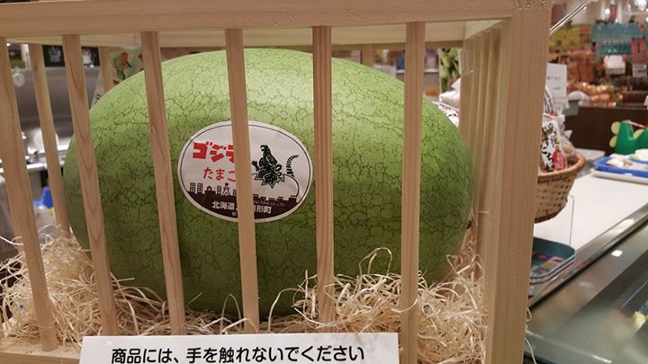 File:Godzilla Watermelon 3.jpg