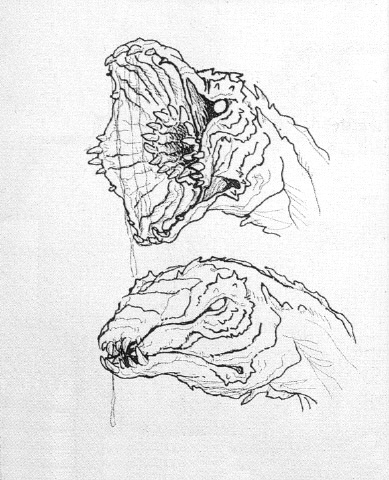 File:Concept Art - Godzilla vs. Biollante - Biollante Head 5.png