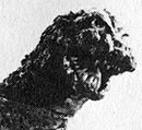 File:Godzilla 1964.jpg