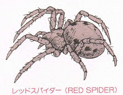 File:KK2-RED SPIDER.jpg