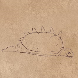 File:Carnivorous snail.jpg